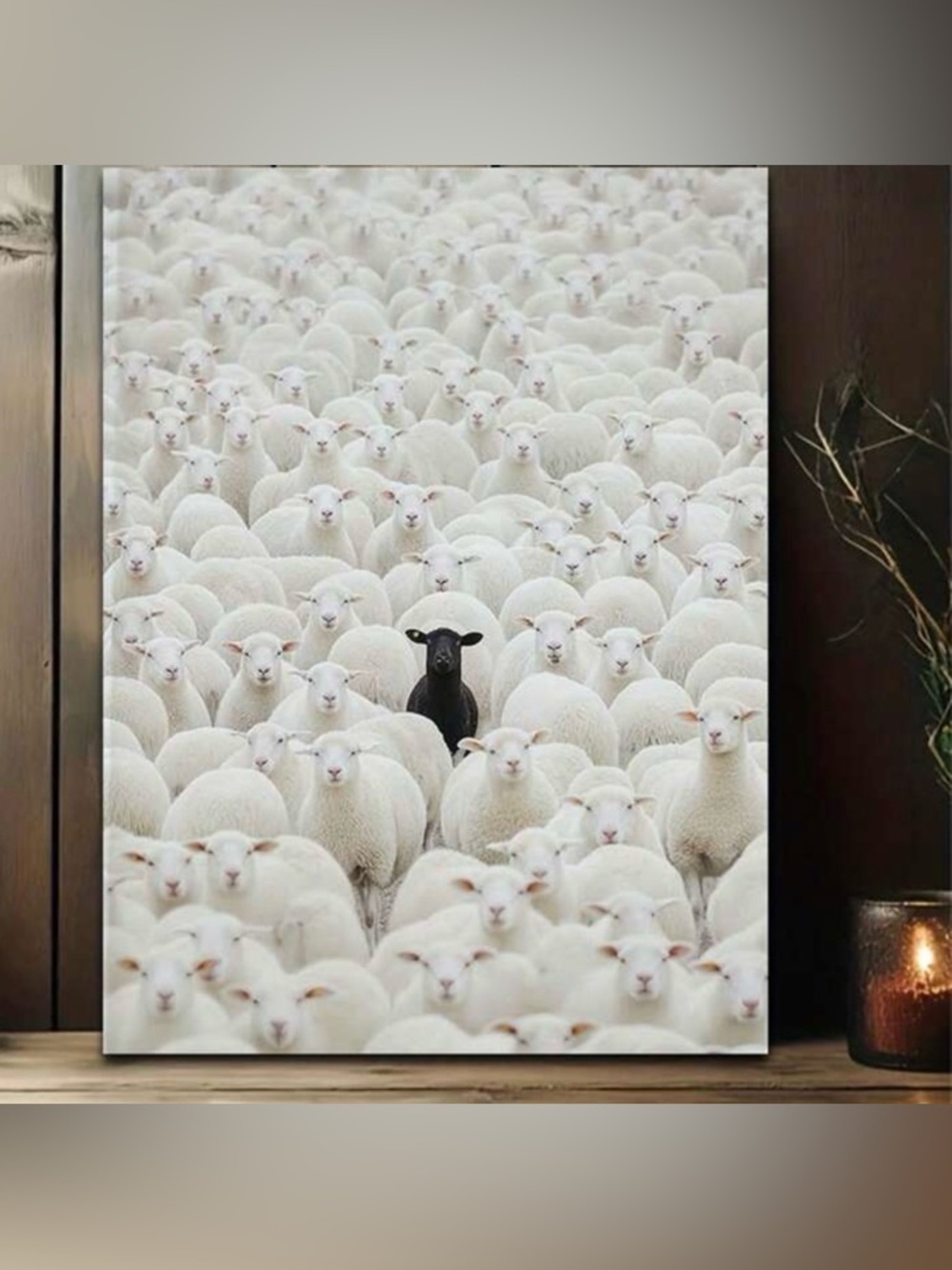 20”x28” CANVAS PRINT BLACK SHEEP 🐑